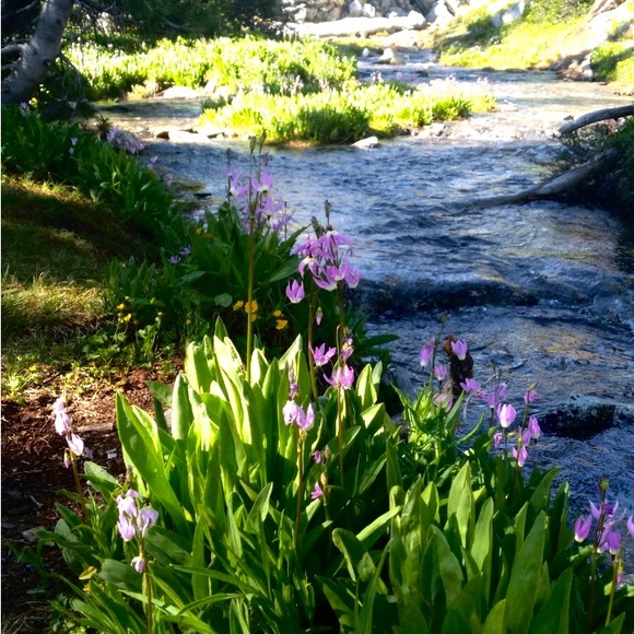 Meet your Posher, Michaela - Picture 2 of 4